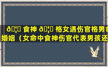 🦋 食神 🦊 格女遇伤官格男命婚姻（女命中食神伤官代表男孩还是女孩）